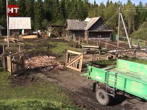 Медицинский вестник 16 11 2012