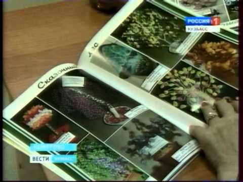 Немедицинская сторона медицинских сестер