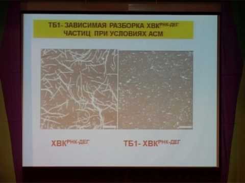Лекция «Вирусы растений и нанотехнологии»